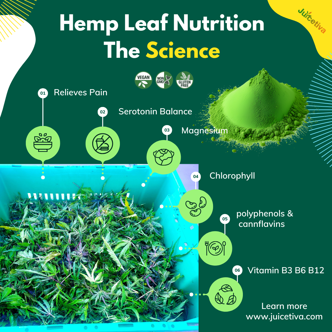 STRESS Emerald SweetTiva™ Hemp Juice