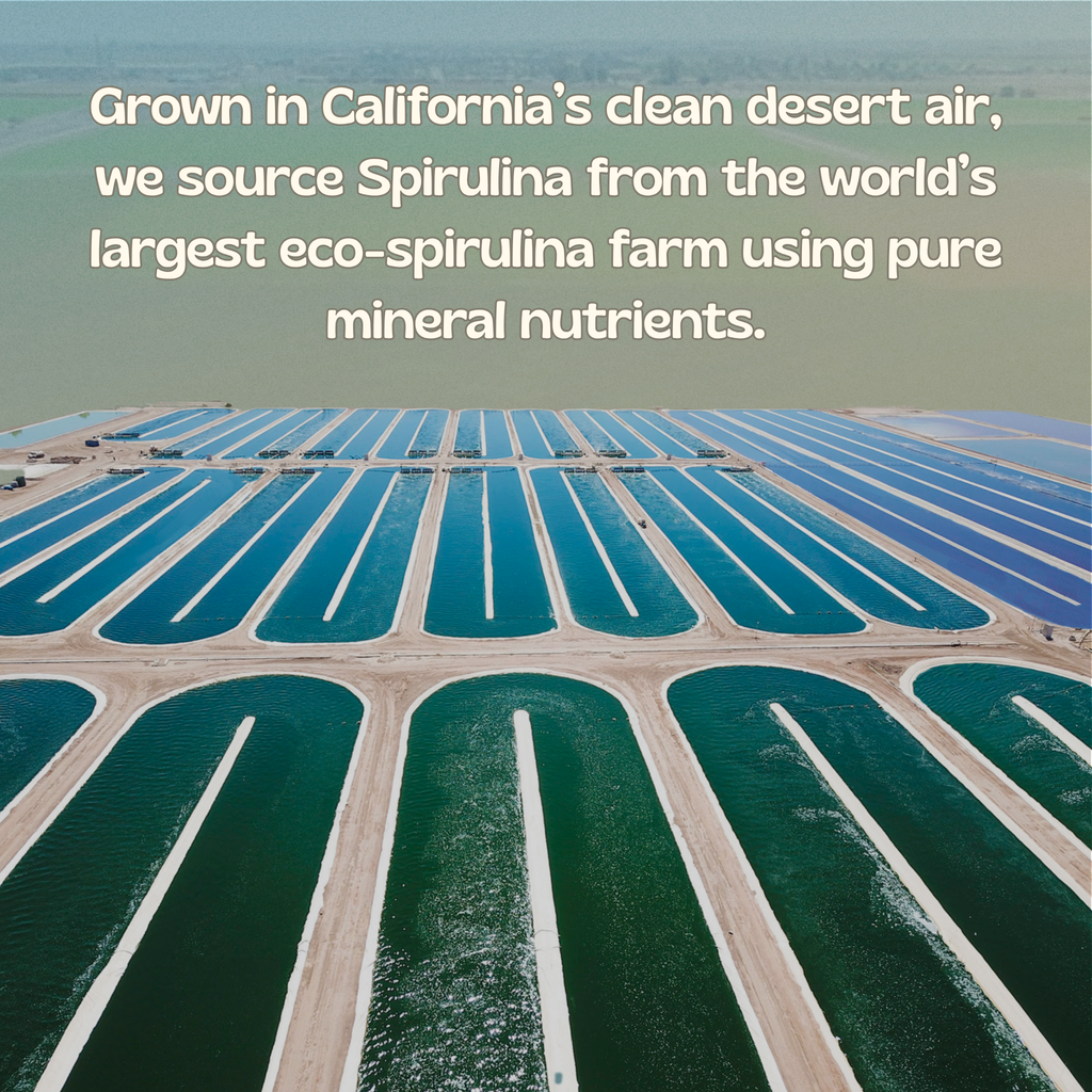 SpiruTiva™ – Hemp Juice + Spirulina Green Blend | 30 Servings