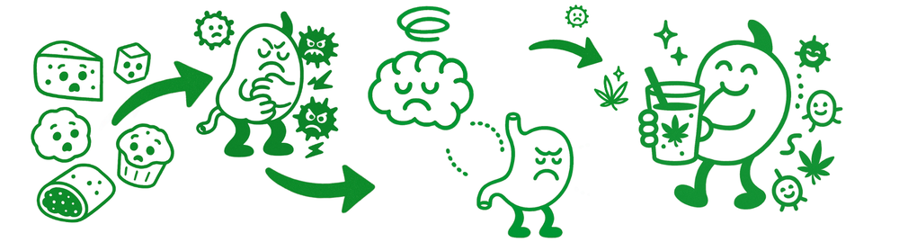 Gut Health & Mood