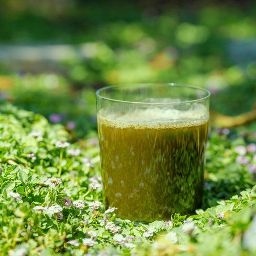 Hemp Leaf Juice for PMS and Menopause